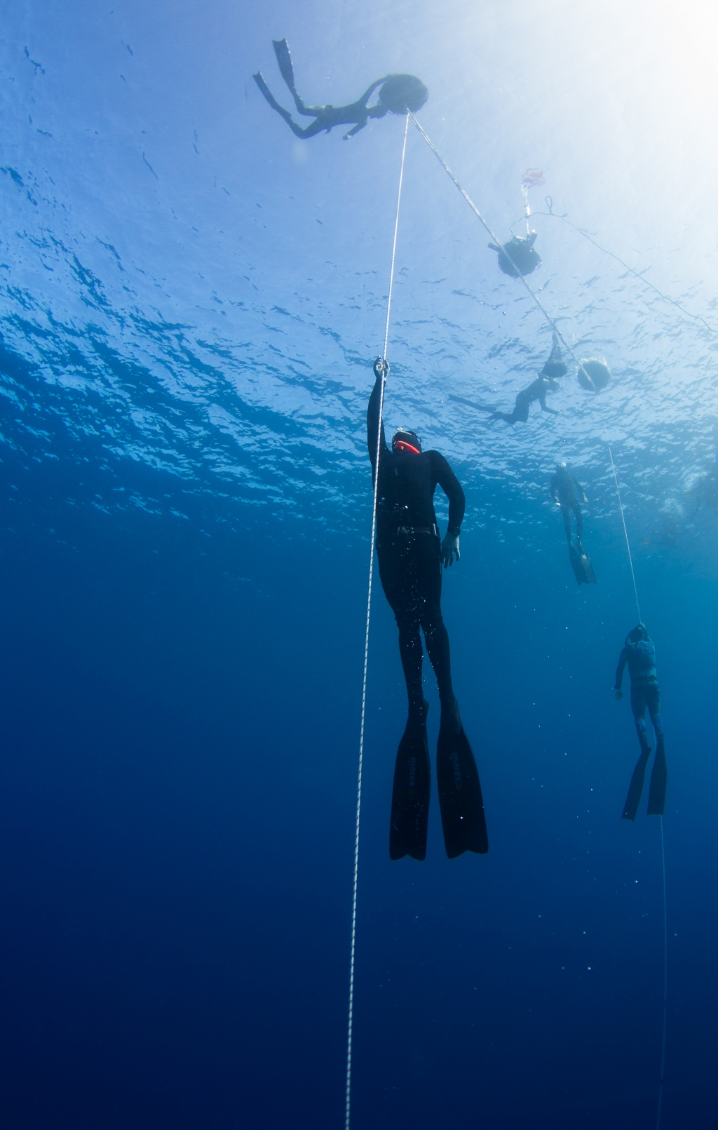 25th FII Kona Freediving Camp camp